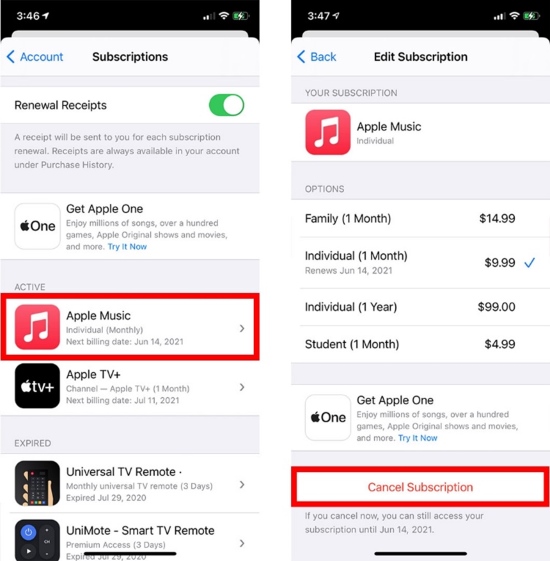 how to remove subscription on apple id