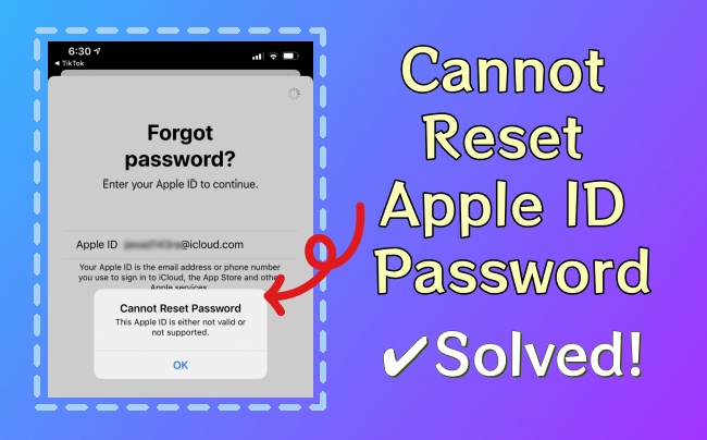 cannot reset apple id password
