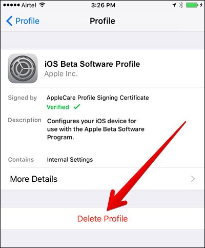 download beta profile ios 12