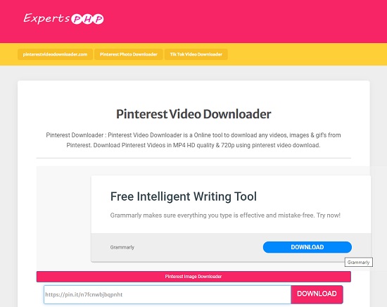 Pinterest Video Downloader  Download Pinterest Video Online in