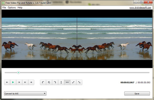 free video flip and rotate download for mac
