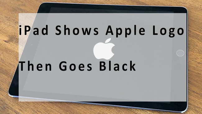 apple ipod logo font
