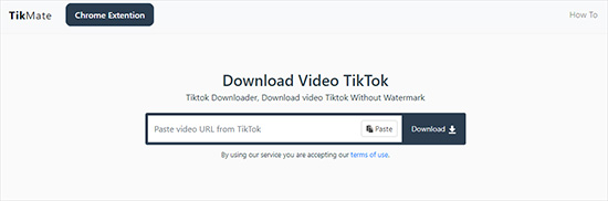 9 Tips to Download and Convert TikTok to MP3