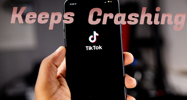 [iOS 17 Supported] TikTok Keeps Crashing On IPhone