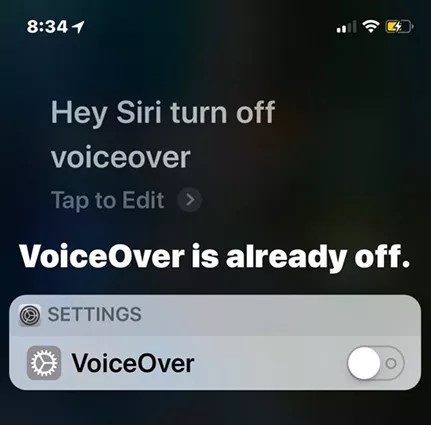 voice actions for ipad 2