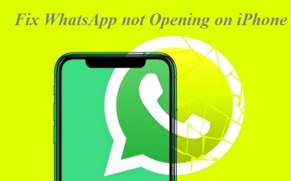 Fix WhatsApp not Opening on iPhone: Quick Solution