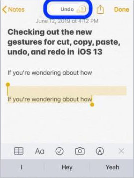 iphone notes gestures undo