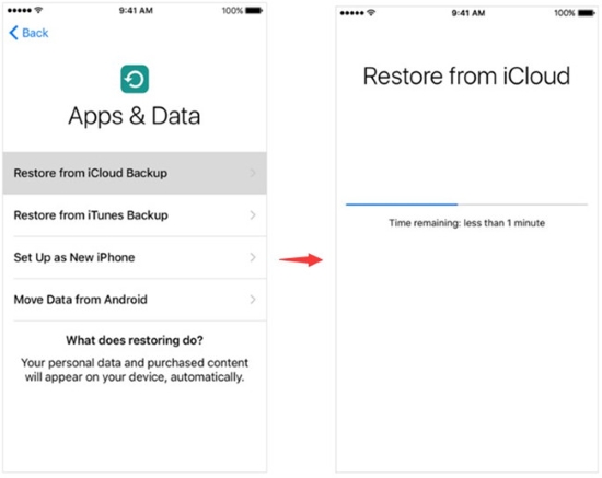 restore viber messages from icloud backup